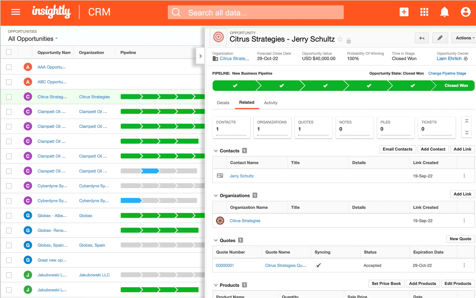 insightly dashboard overview