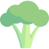 Broccolo