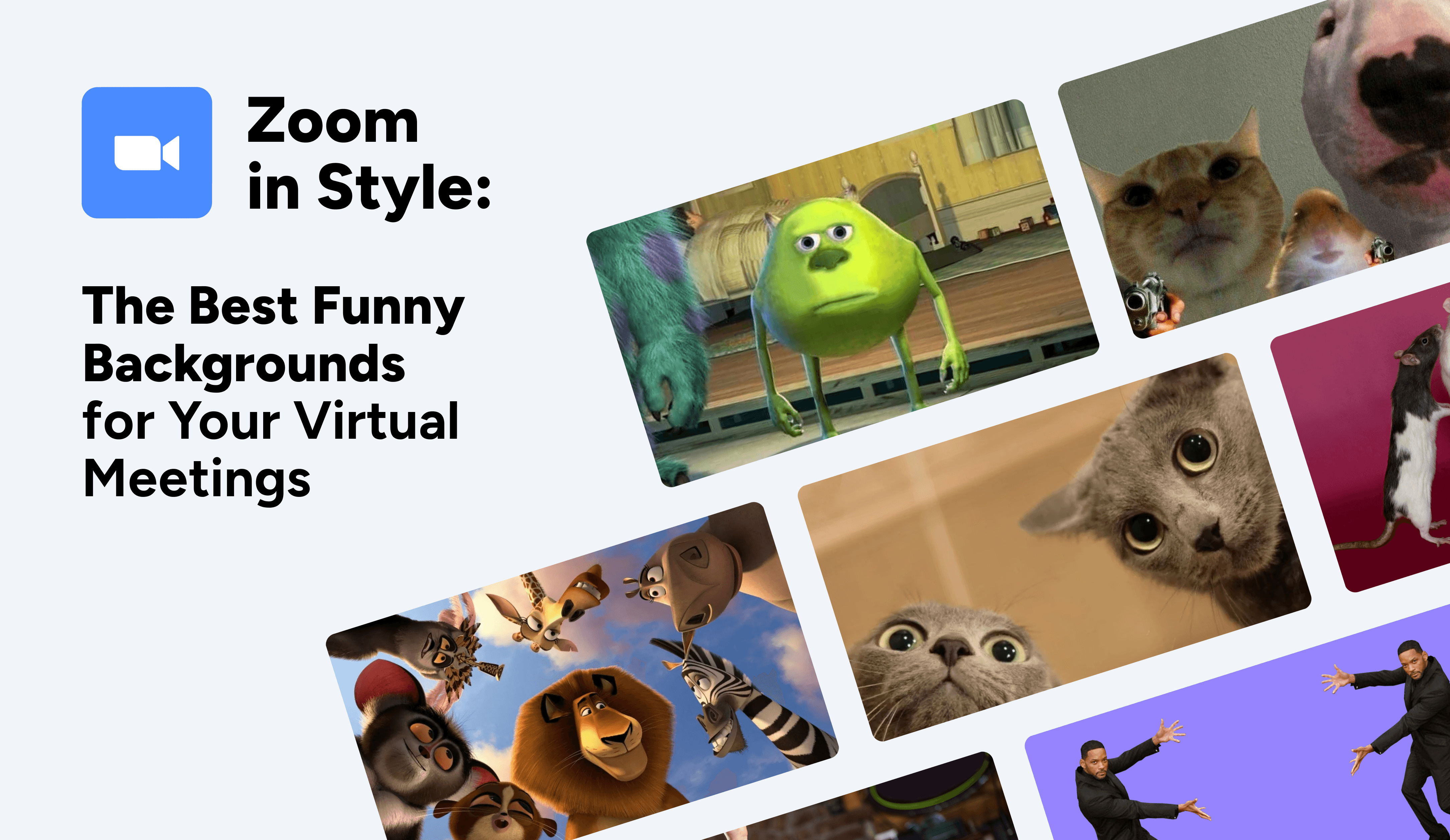 The Best Funny Backgrounds for Your Virtual Meetings