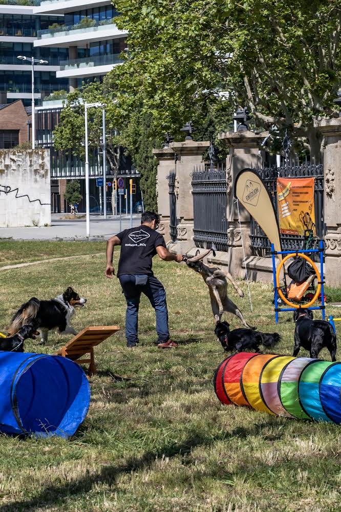 Man Wearing Sunglasses
