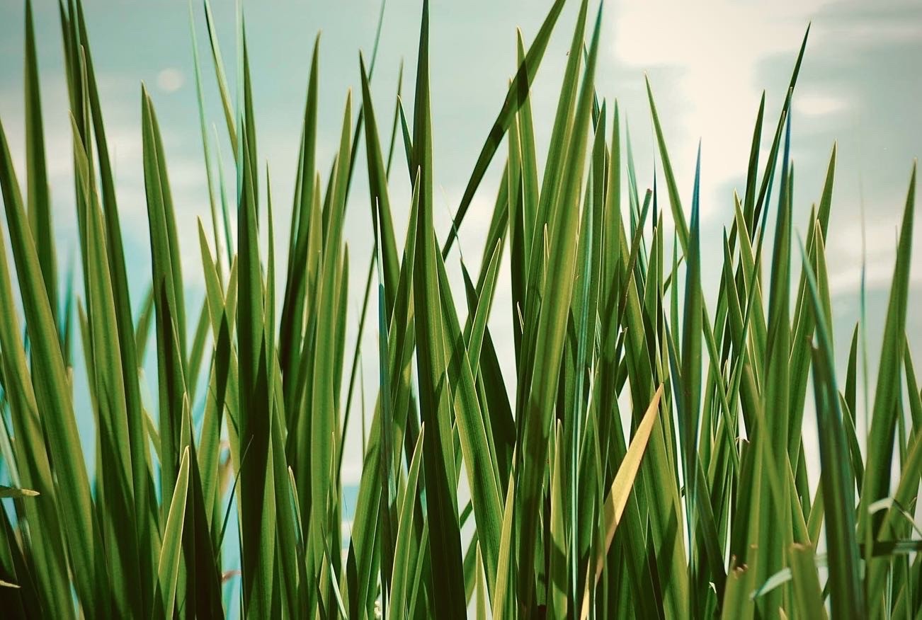 A glowing "Digital fingerprint" with a splatter of light sourrounding it on a black background