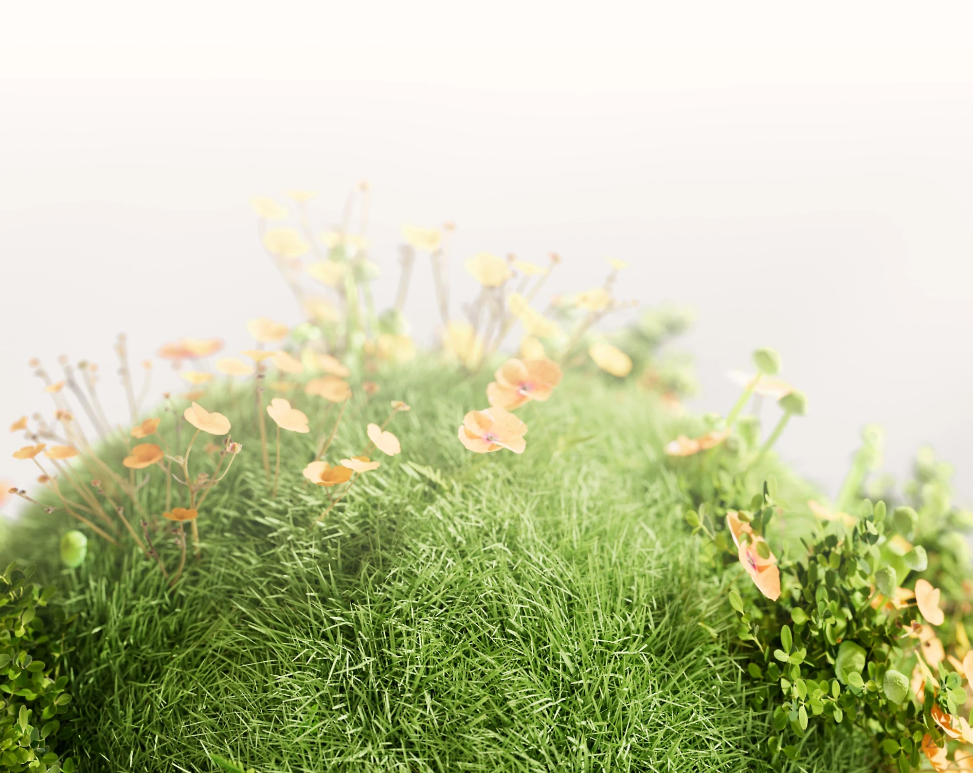 BG Image