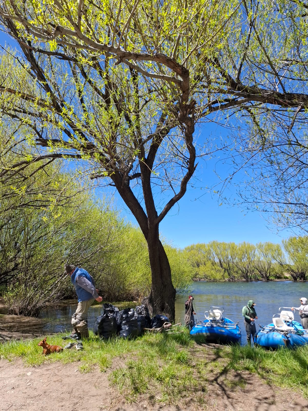 Botes y pescadores juntando basura del río