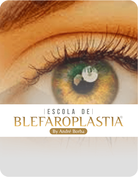 White and maroon sneaker