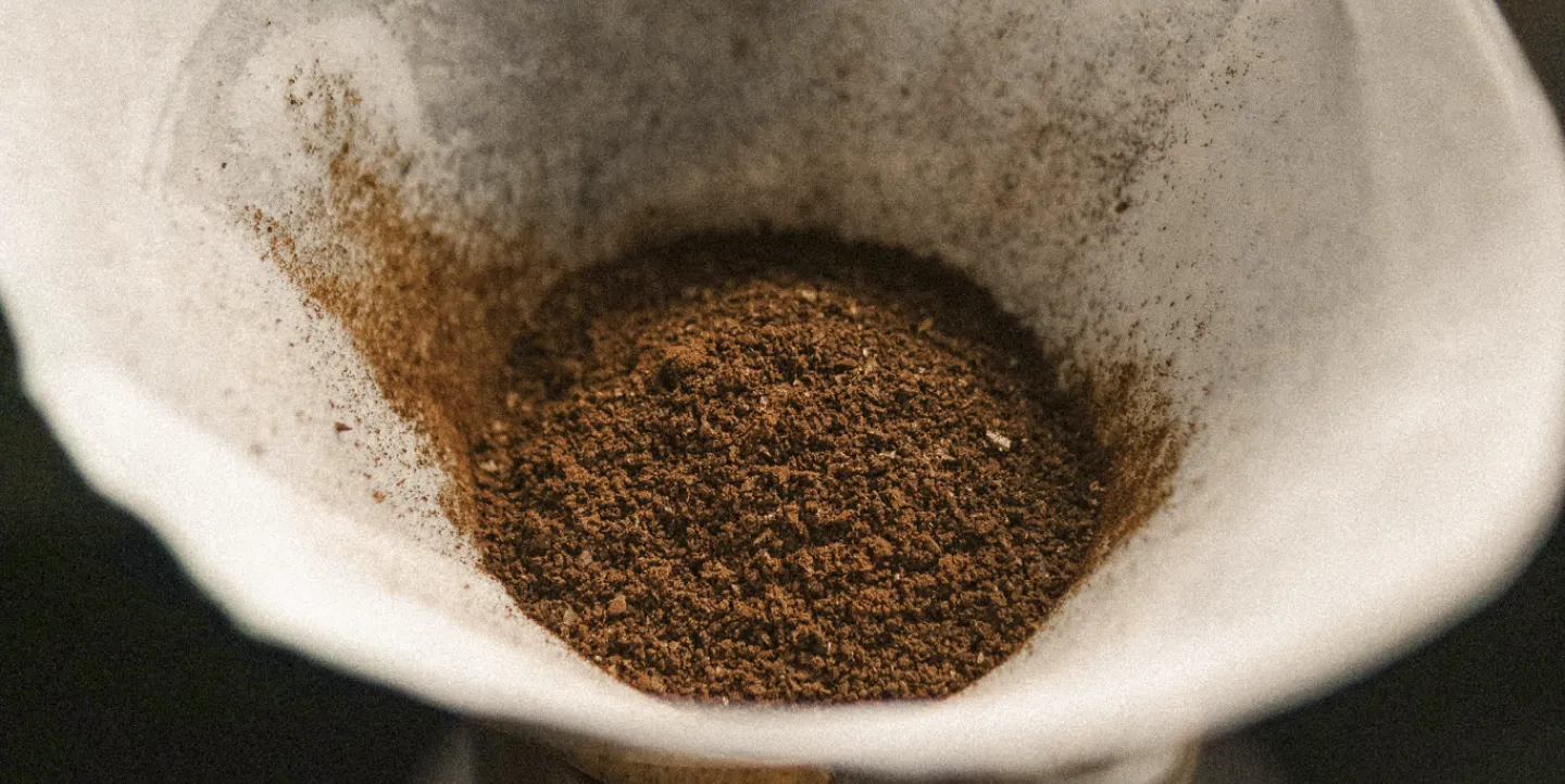 Contact shantai coffee