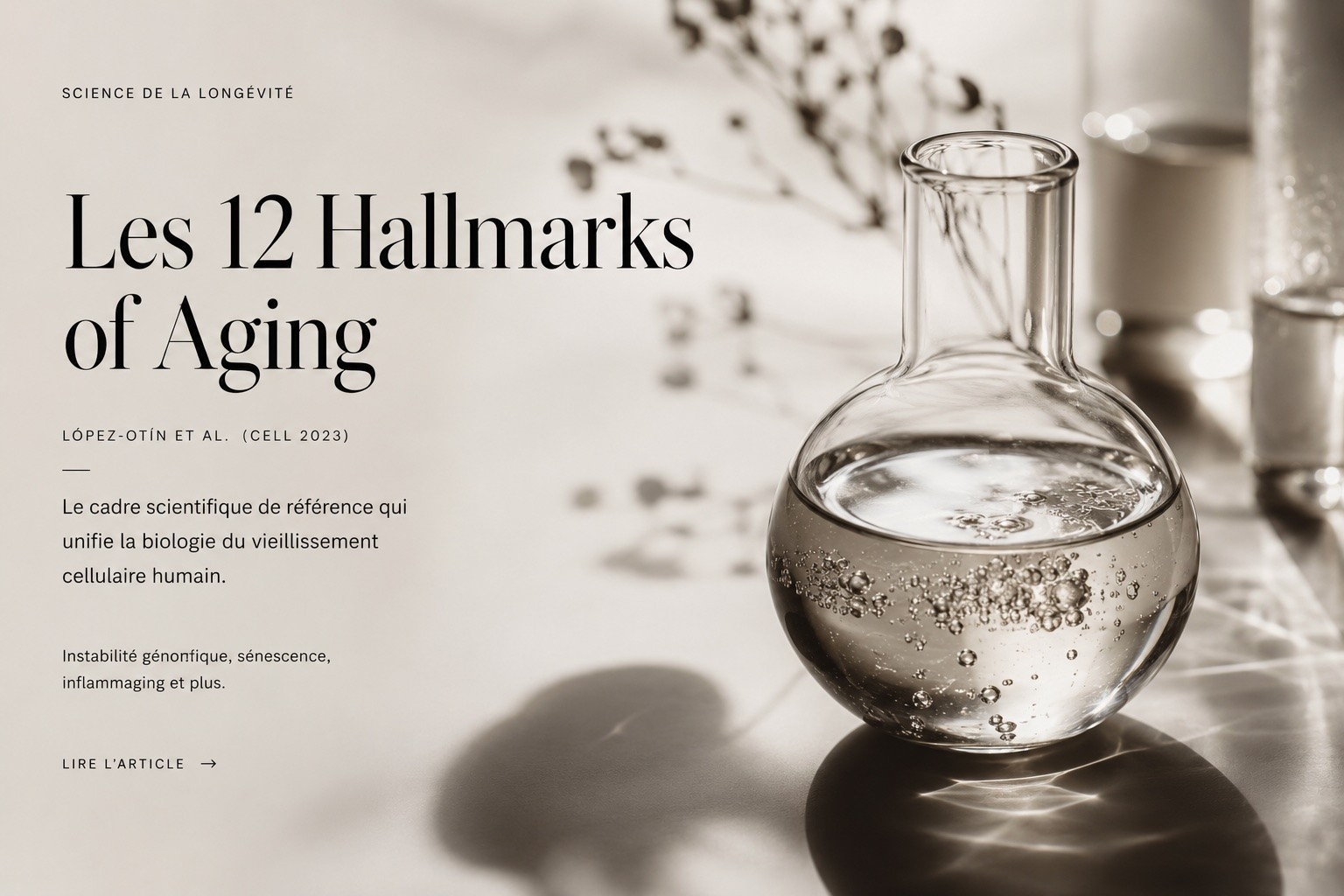 Les Hallmarks of Aging : le cadre scientifique qui a unifié la biologie du vieillissement