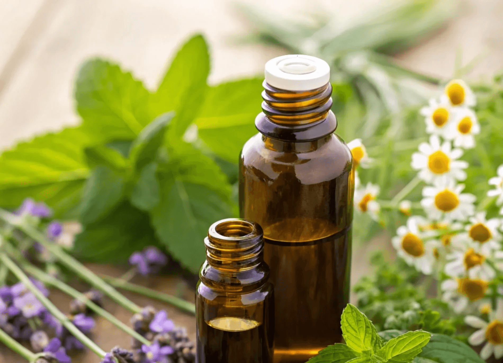 Bottiglie di oli essenziali per aromaterapia e benessere olistico con Giacomo Tropea