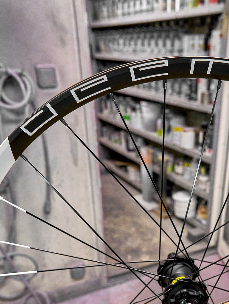 a woman holding a red flower