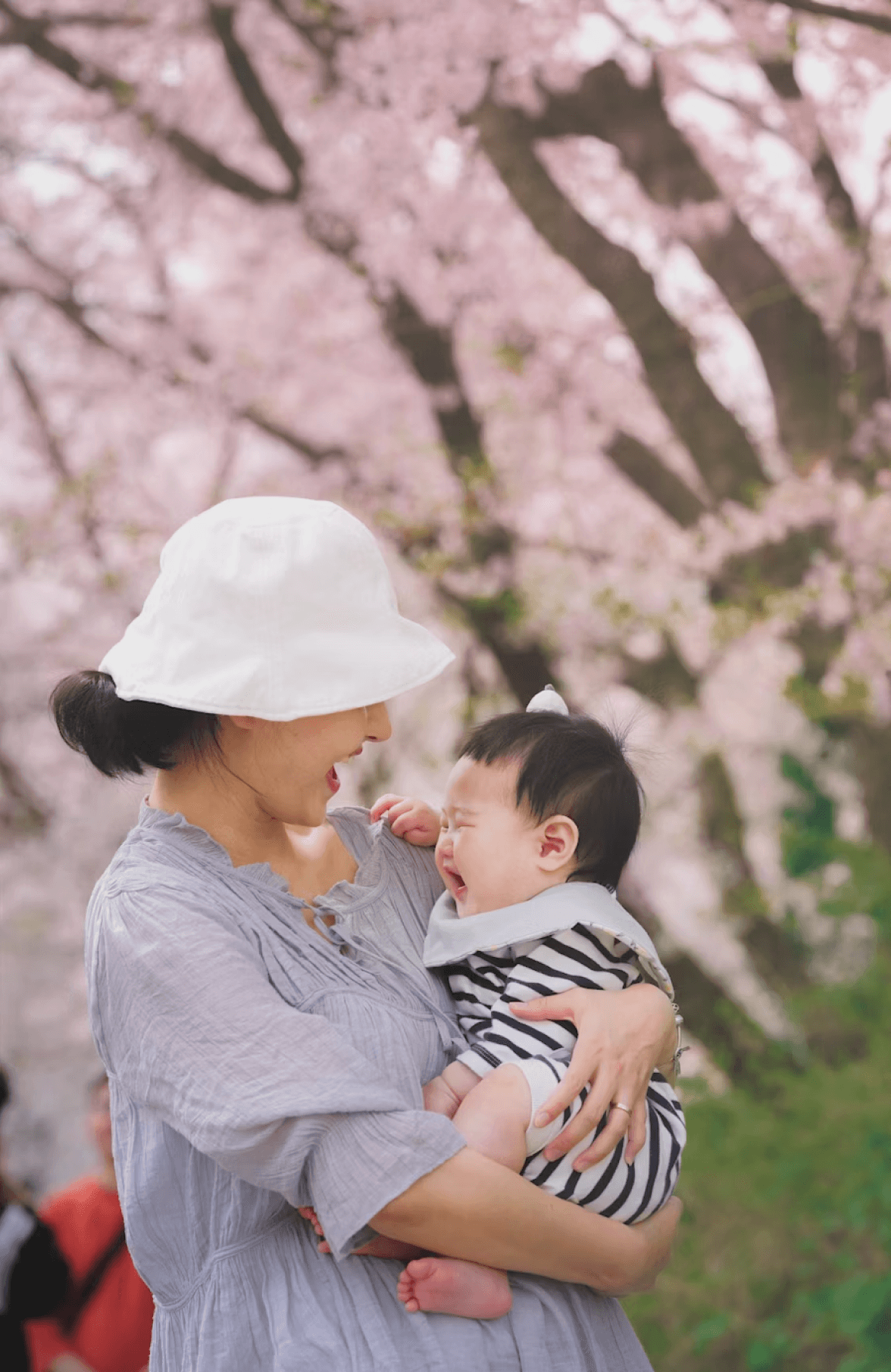 벚꽃 아래 아기를 안고 있는 어머니 – 사랑과 세대 간 신앙 전수를 상징 | Mother holding baby under cherry blossoms symbolizing love and faith across generations