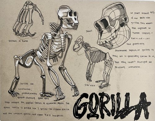 dynsketch gorilla.jpg