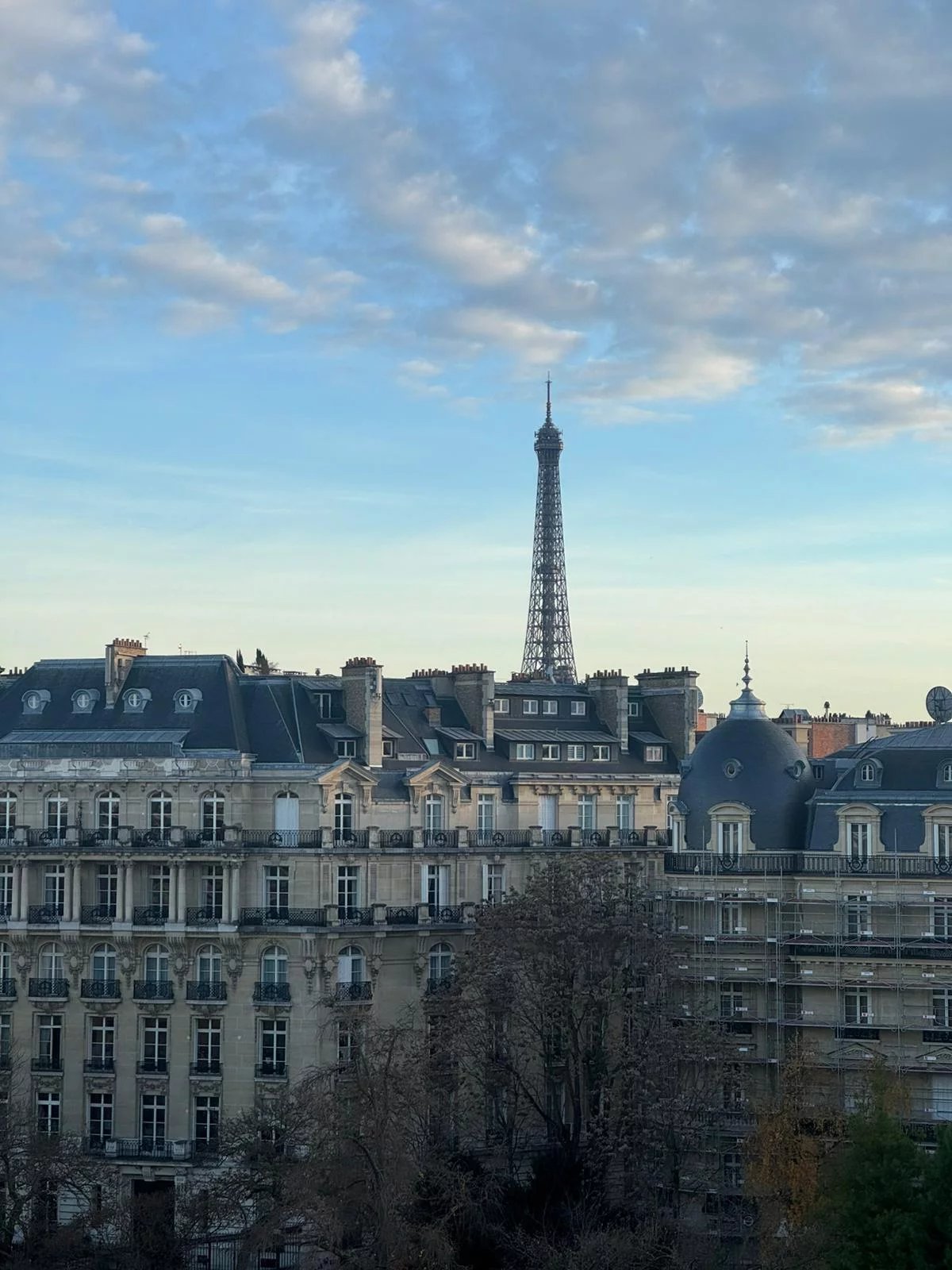 A serene backyard with a pool, sun loungers, and olive trees, set against a warm, sunny landscape.