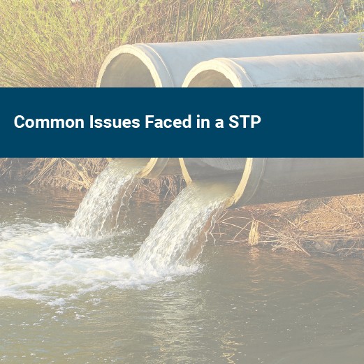 Common issues faced in a STP