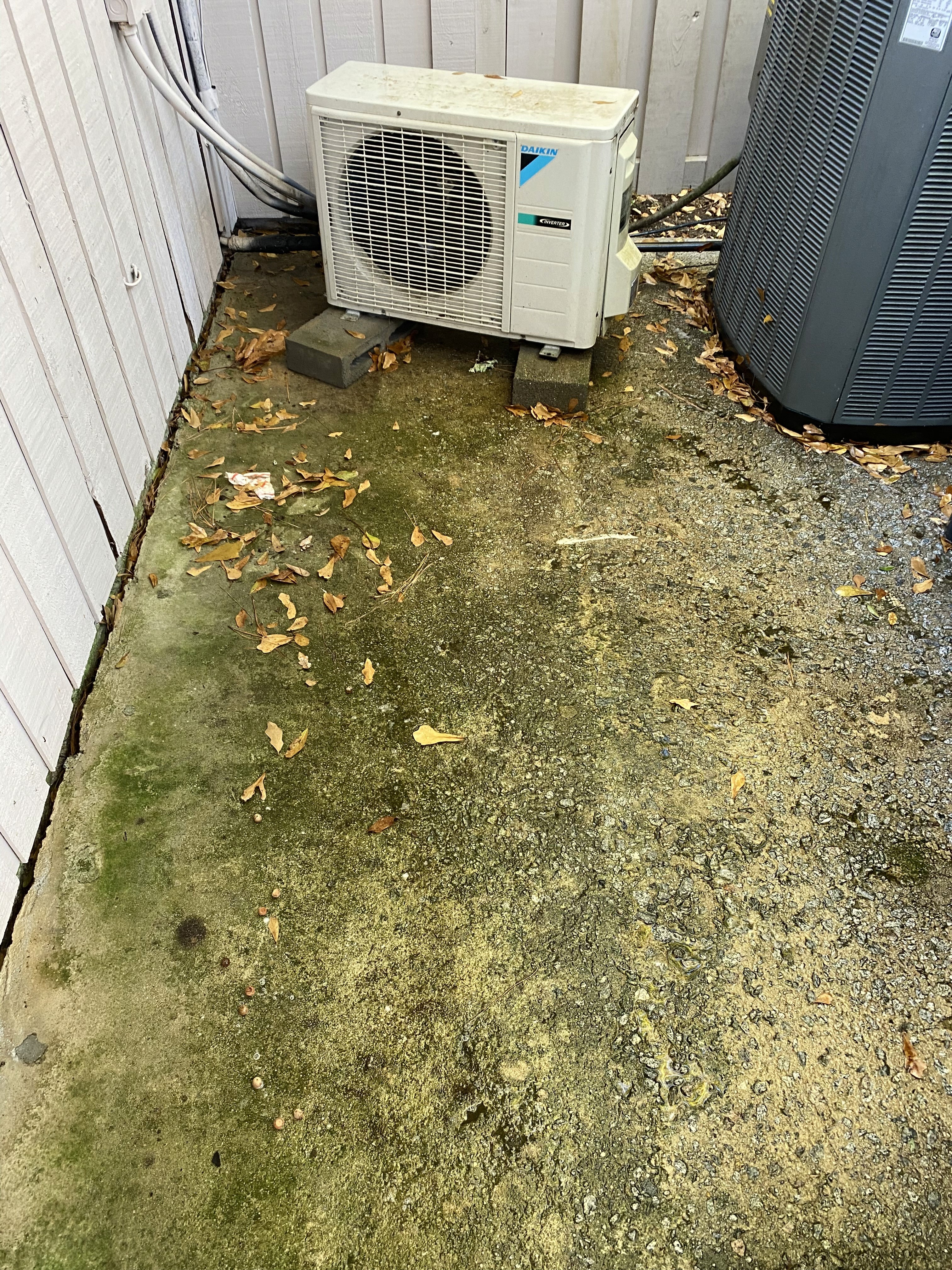 Before and after—home siding soft washed, surface free from algae and grime