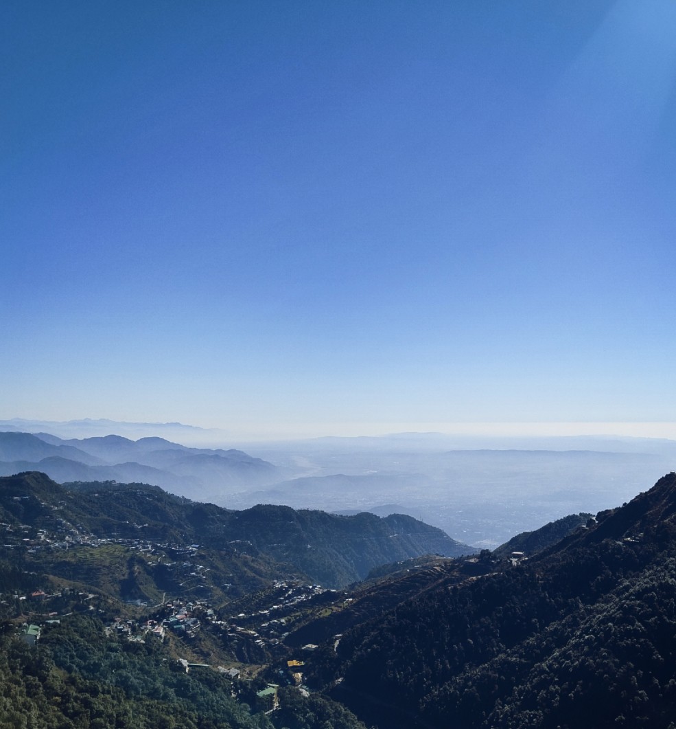 Blue Image