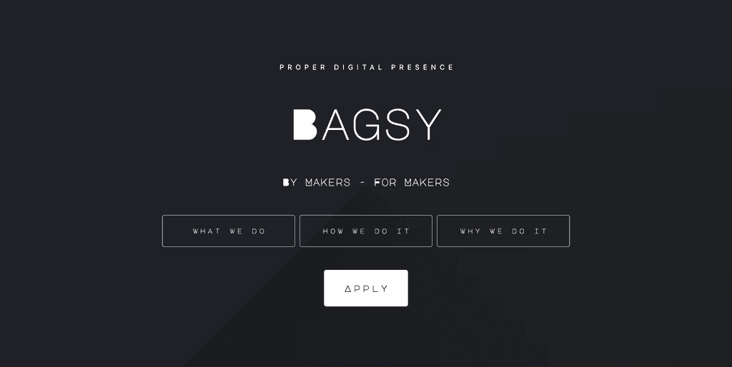 Portfolio Websites