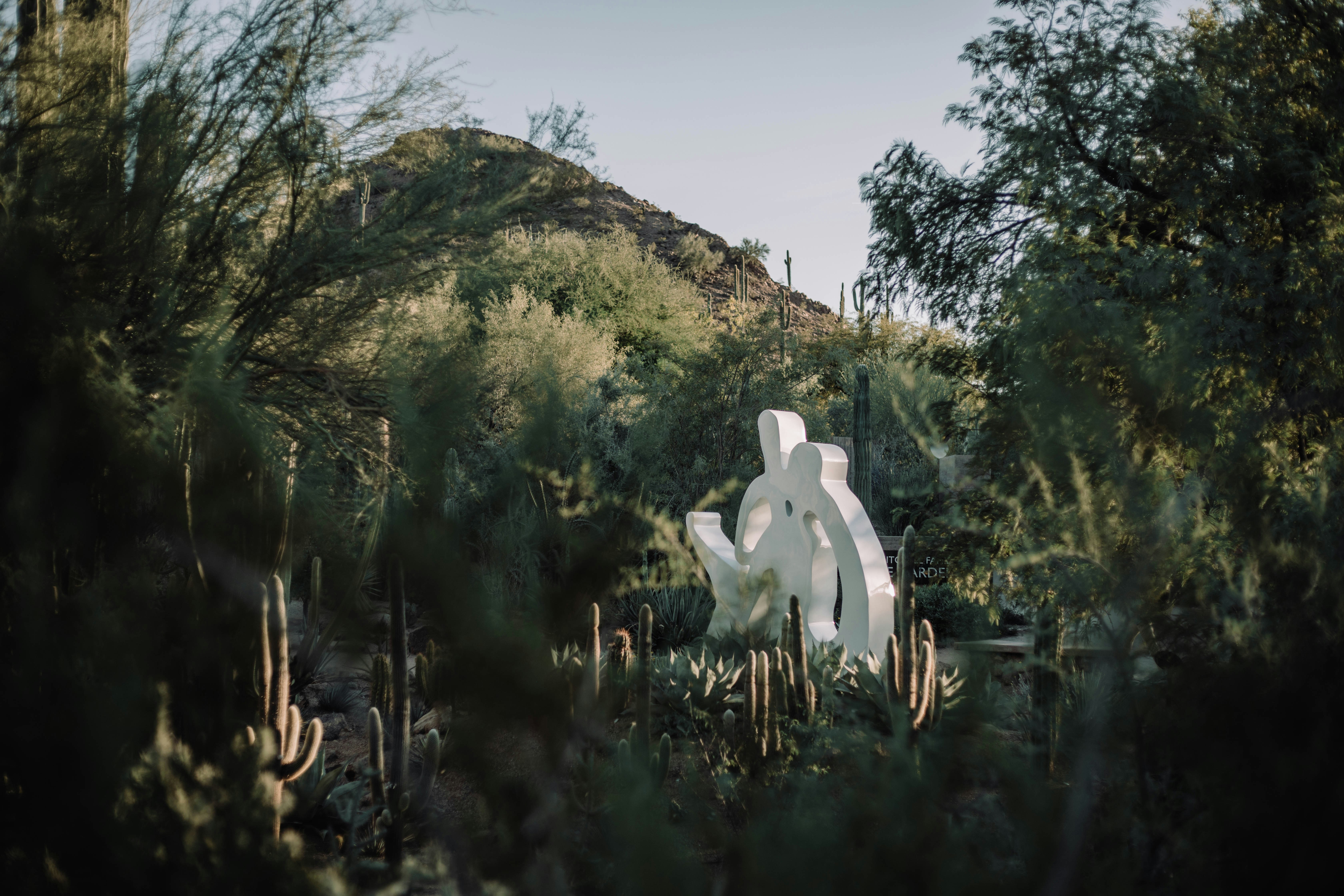 a statue in a forest