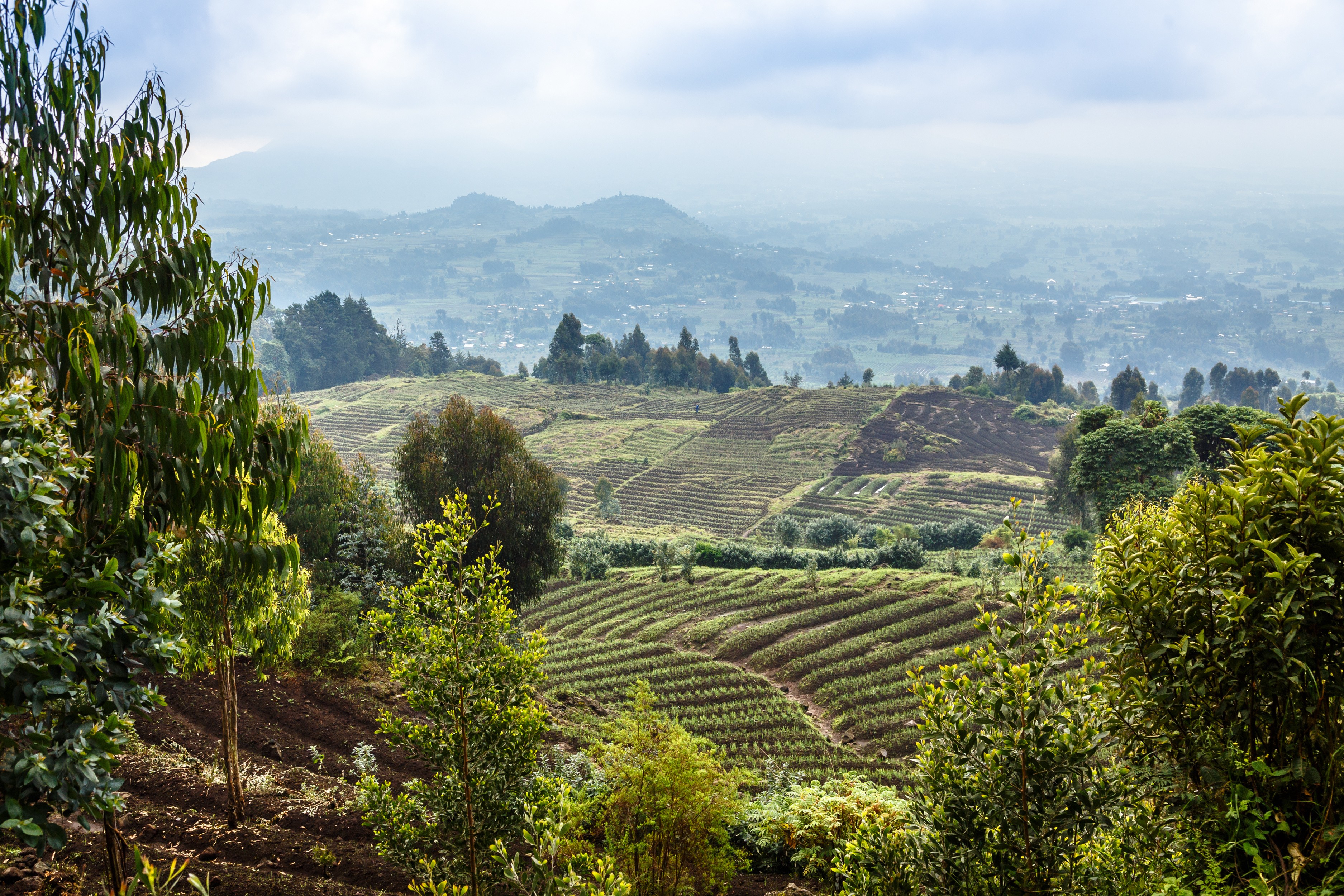 Rwanda Volcanos