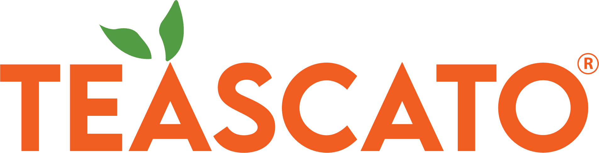 Teascato Logo