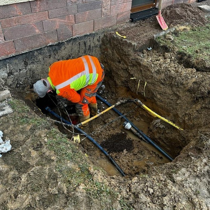 Vintage Car Under Palm Trees