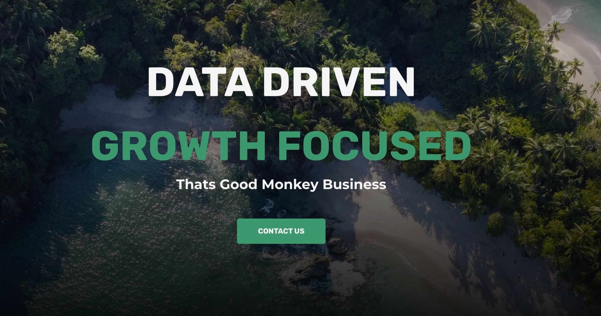 Metric Monkey Marketing