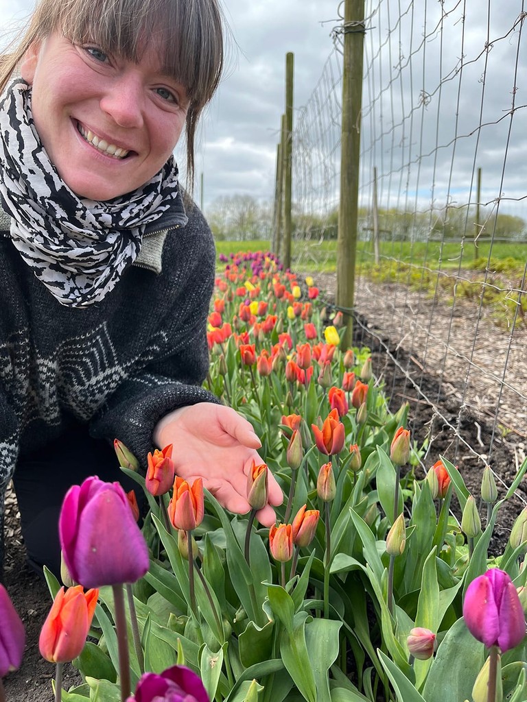 Anne er midt i tuliopanrækken i køkkenhaven, hvor hun holder en orange tulipan mens lilla og gule tulipaner står rundt om hende. 