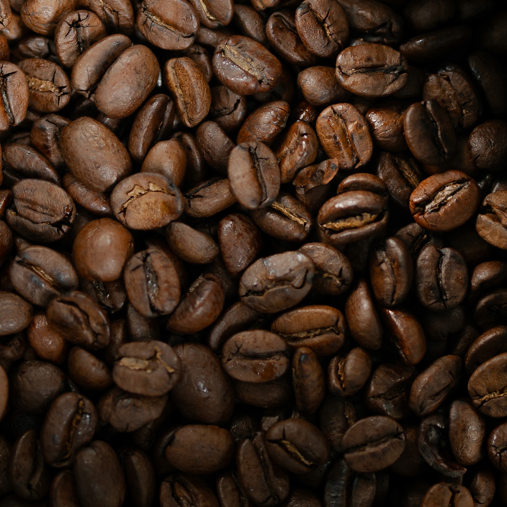 Here comes the alt text