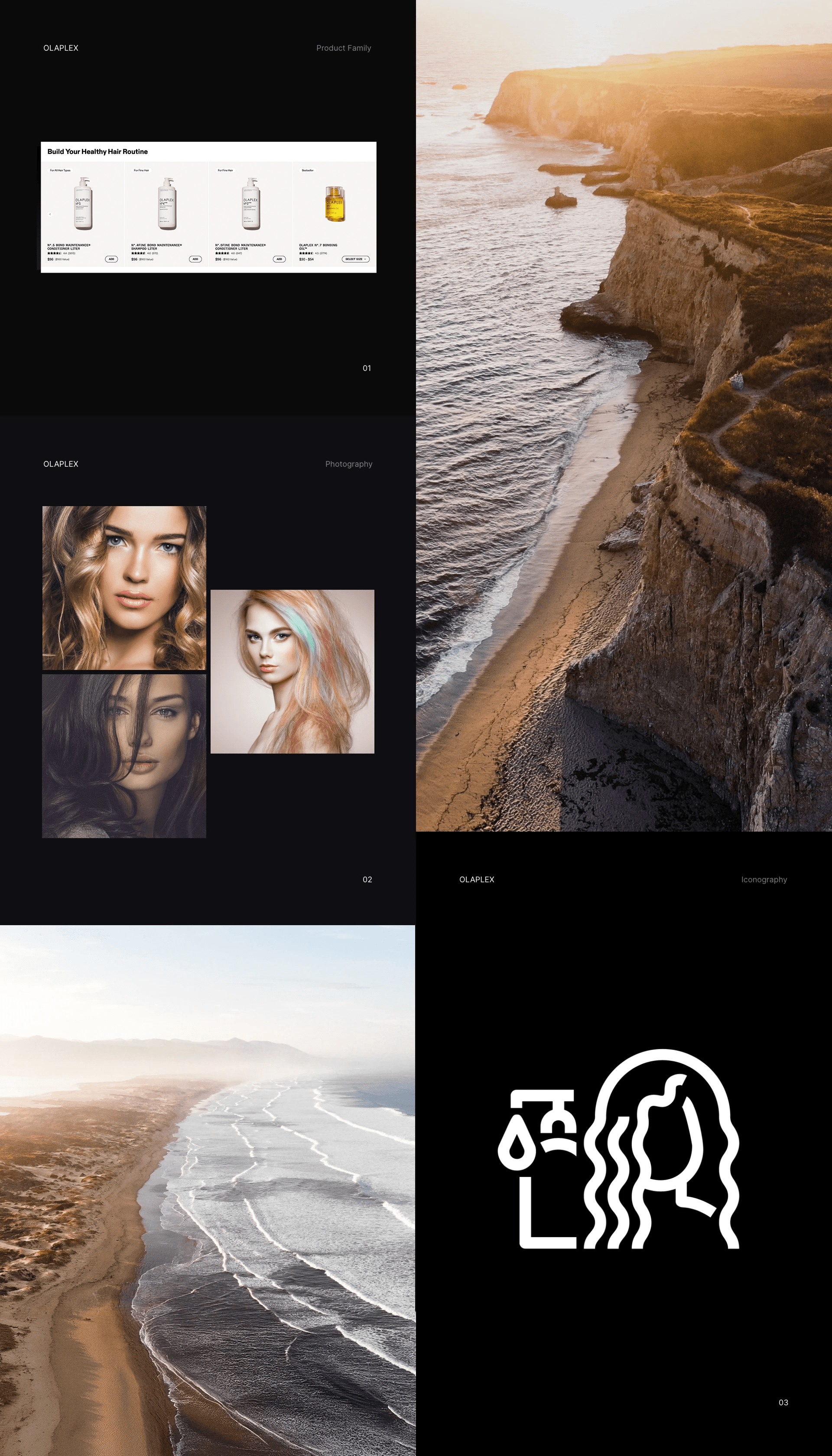 Olaplex 1