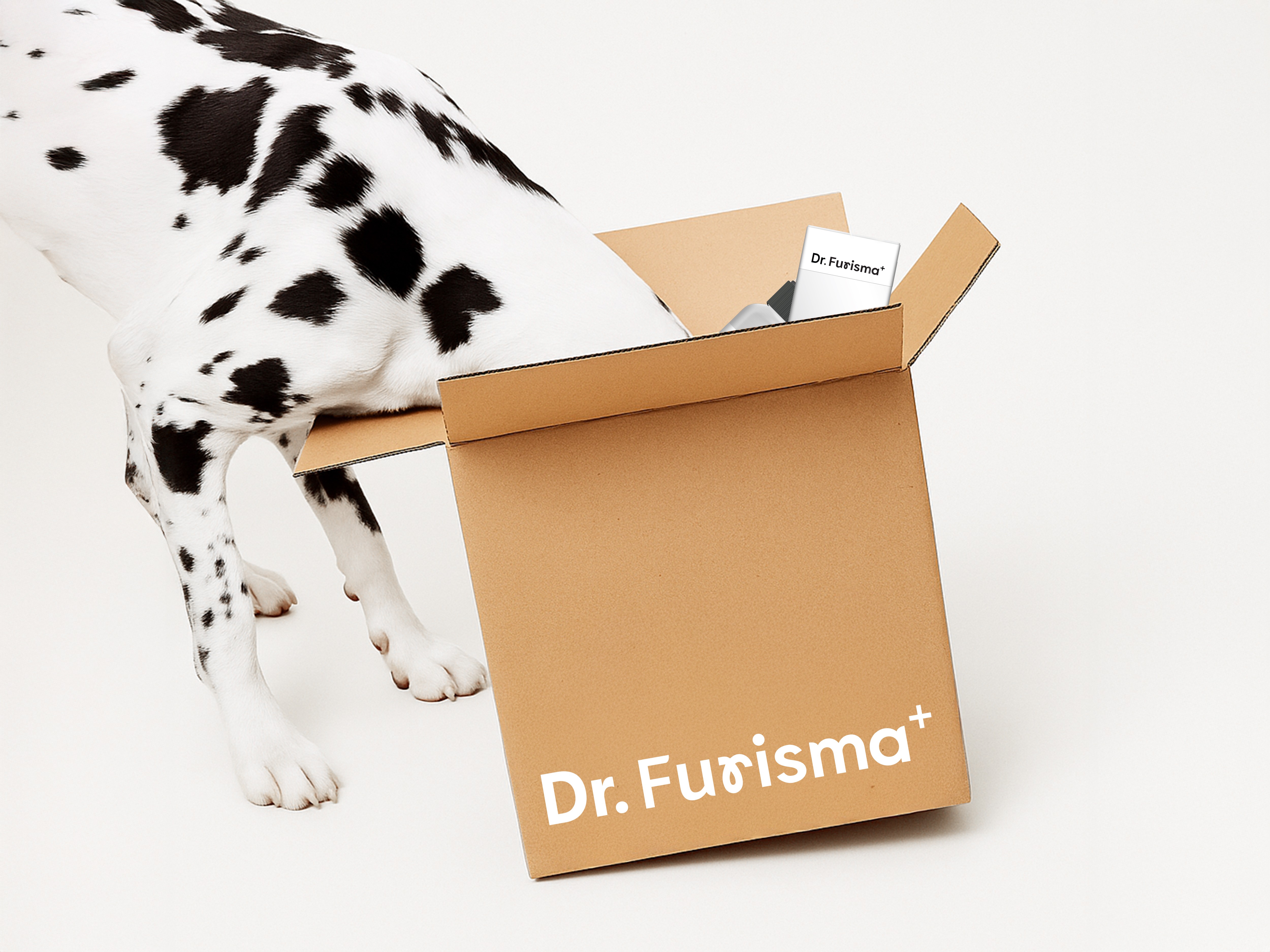 DR.Furisma 01