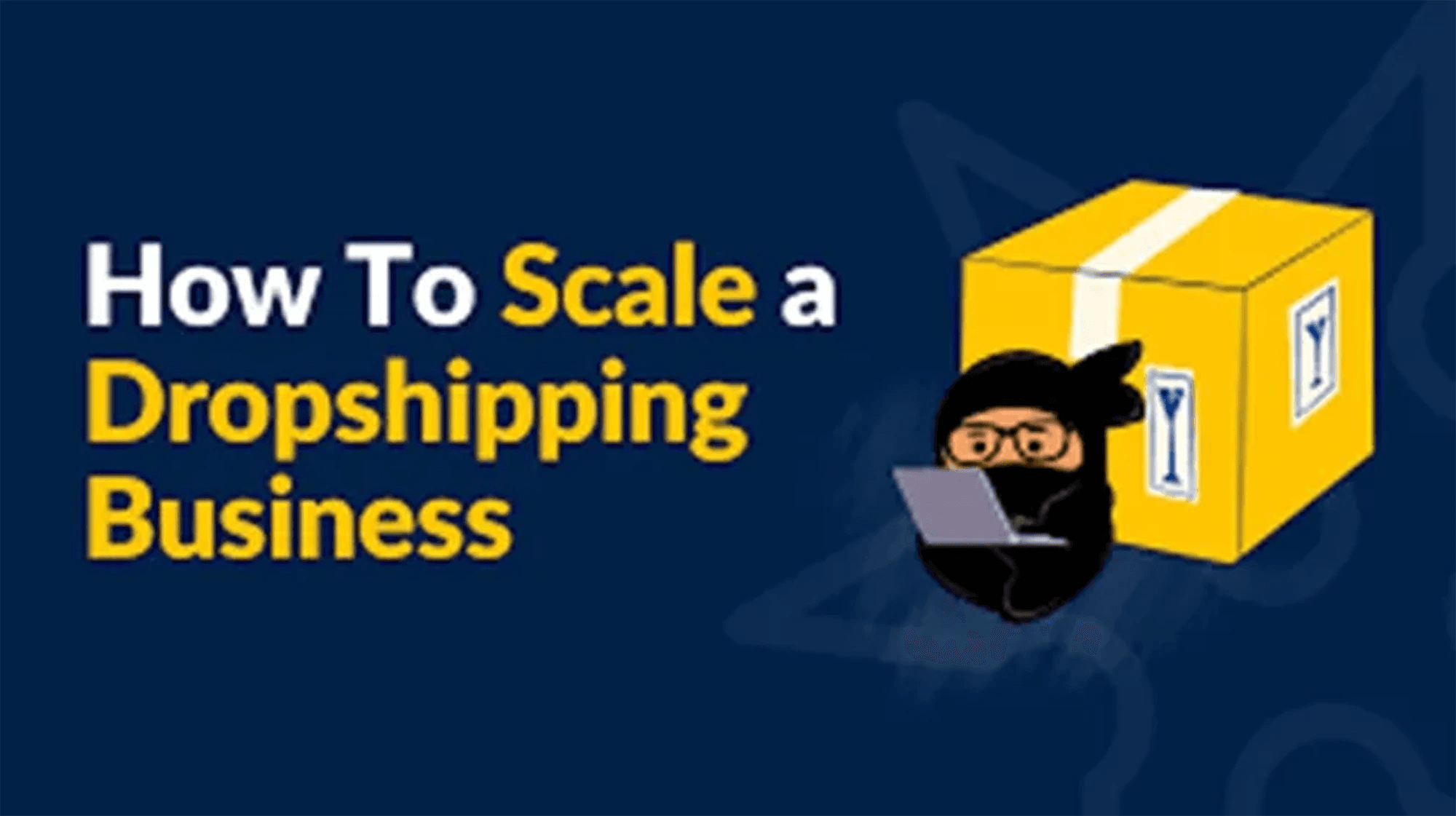 Scaling a Dropshipping Store into a Full-Fledged Ecommerce Brand