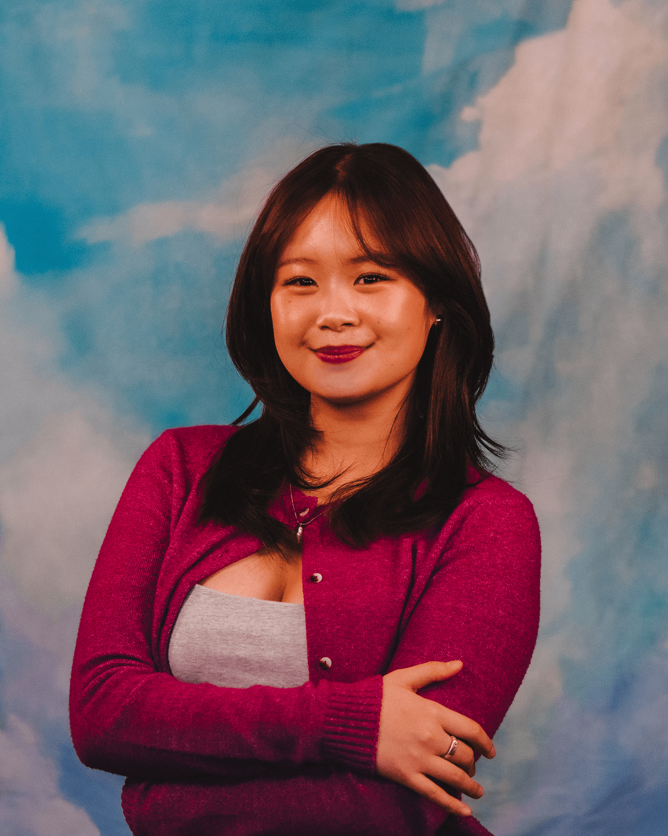 An image of Freelio's project ui