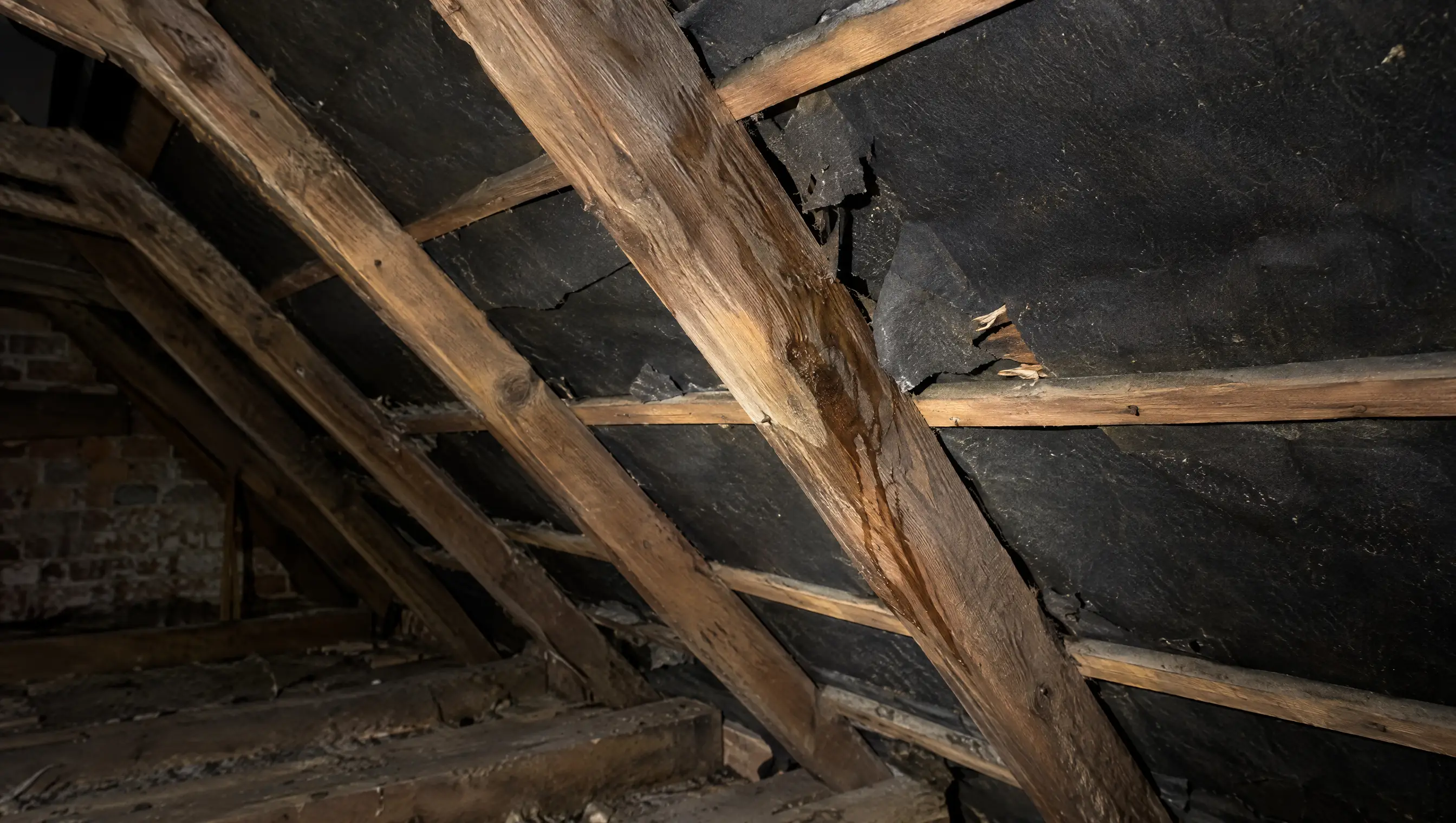 Inside an old loft: aged rafters and battens with brittle, torn roofing felt and water staining