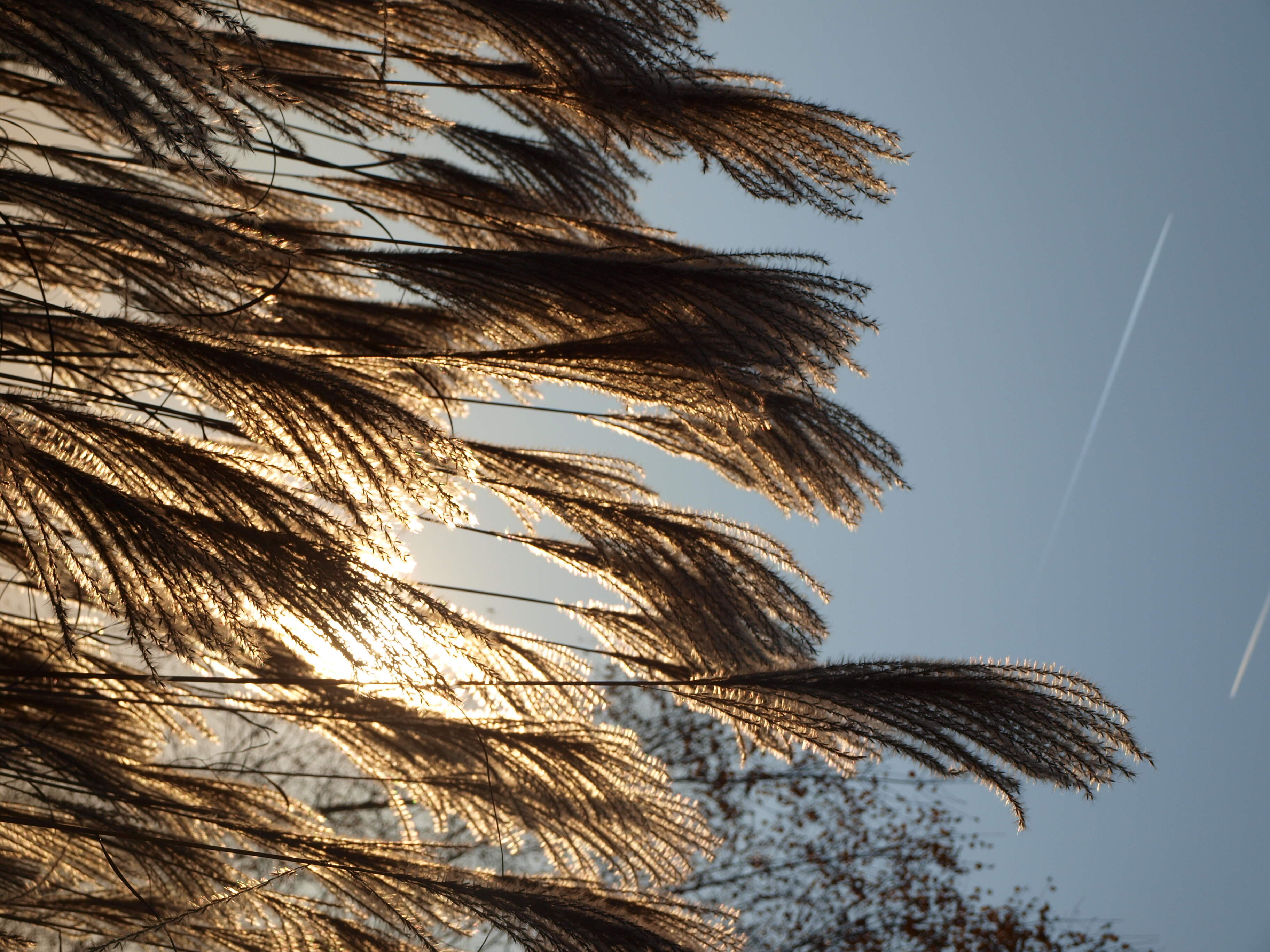 Close-up portrait of a person in natural lighting.