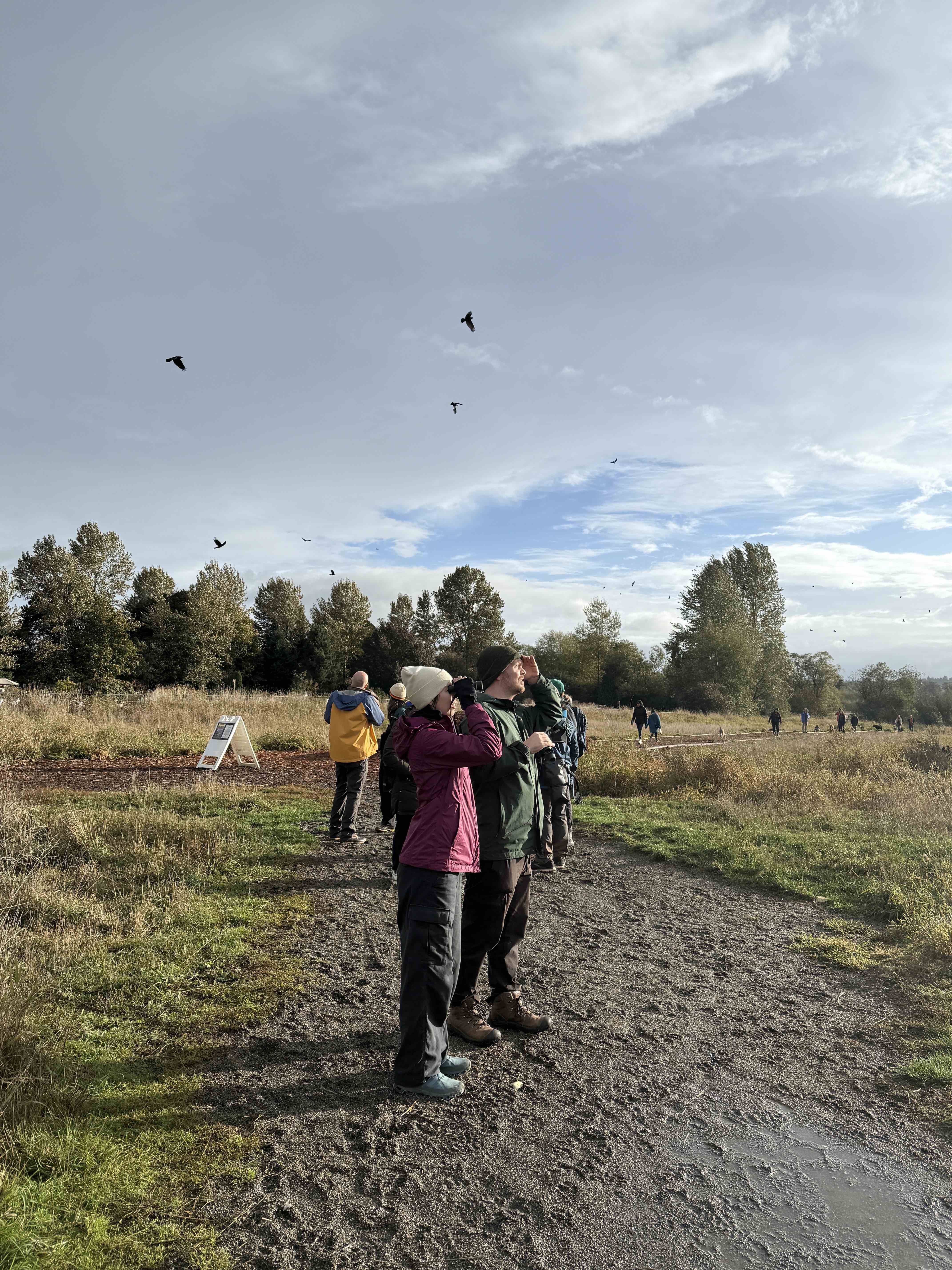 Michael Carter craft strategic design