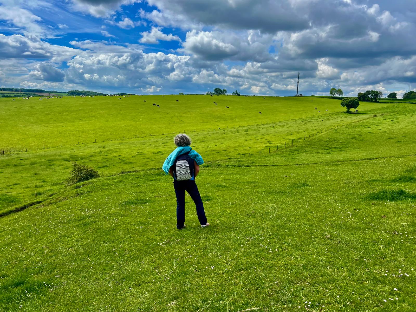 wide landscape view with a person standing in the middle