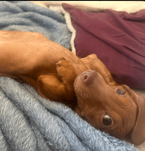 Achievement 1 Illustration