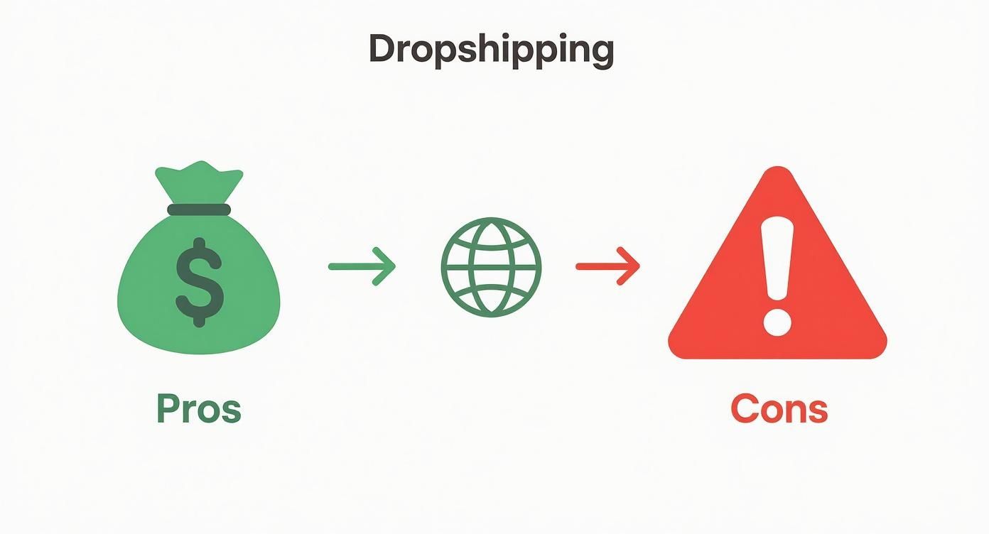 Infographic about dropshipping for beginners