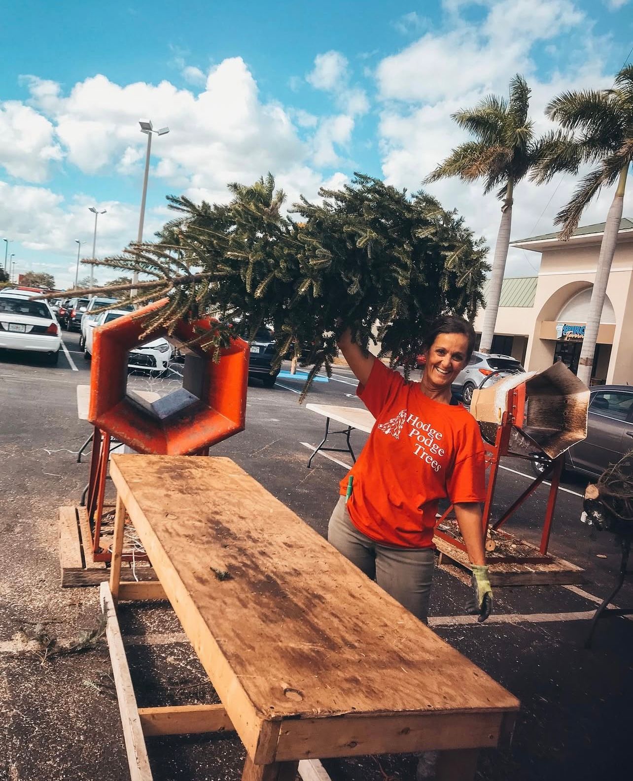 hodge podge trees team member holding christmas tree happily