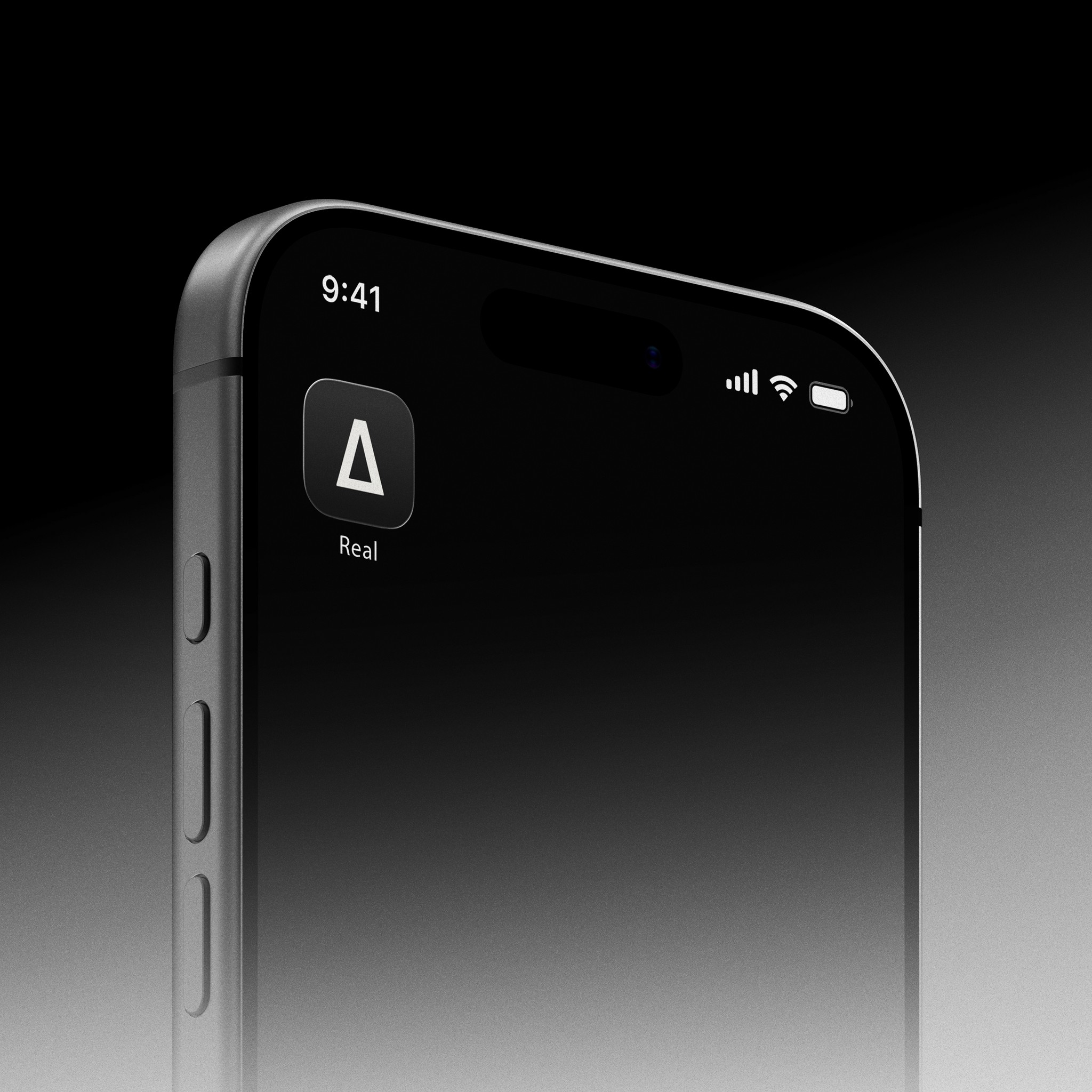 Dom Pérignon vineyards from the sky