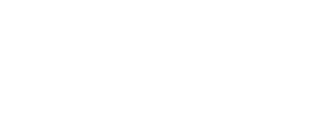 Client Icon