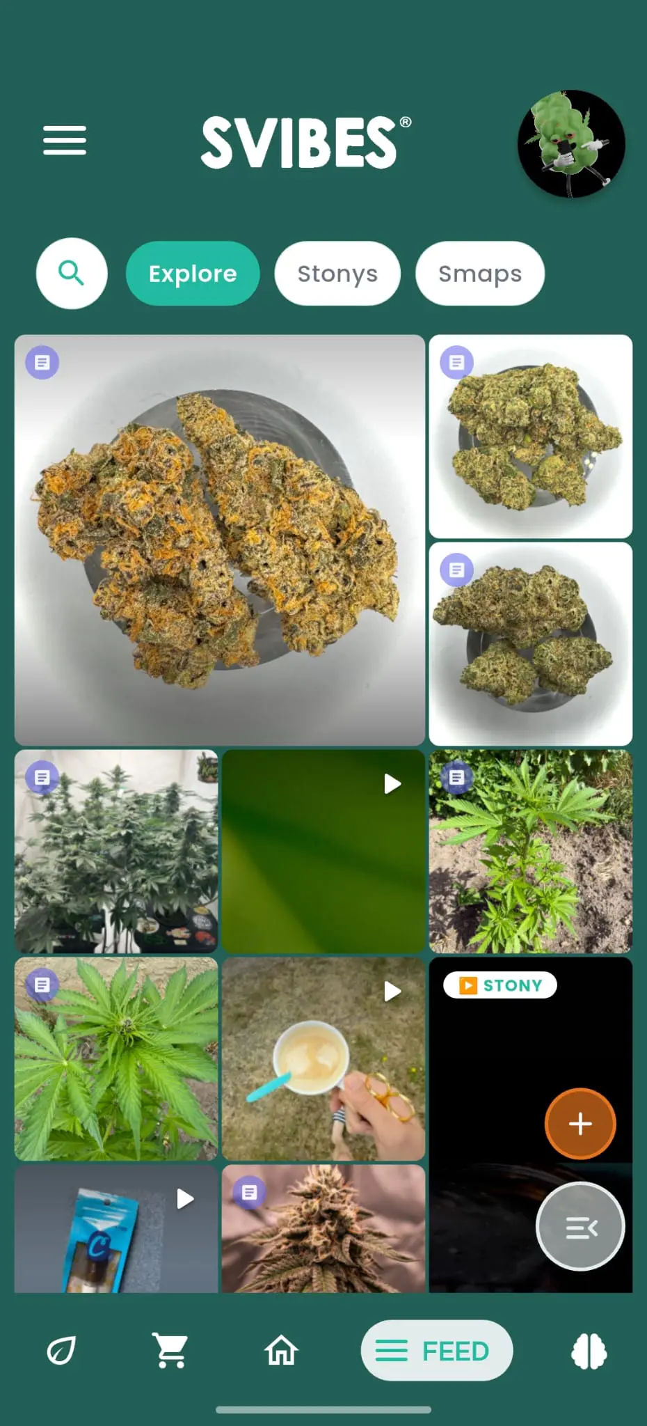 Mobile UI - App-Screenshot der Profilansicht in SVIBES mit Benutzerinformationen, Follower-Statistiken und Beiträgen.