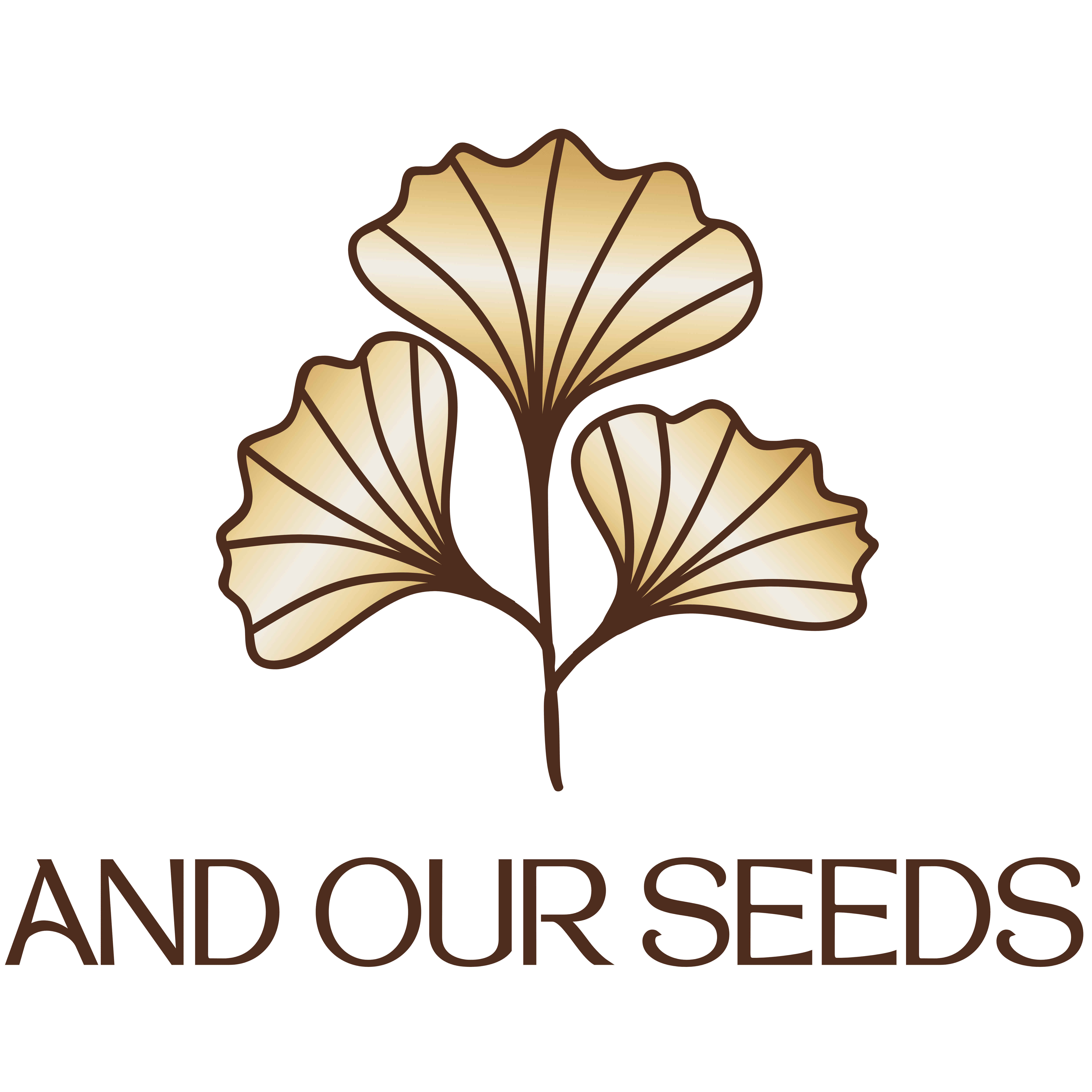 Example work of branding design