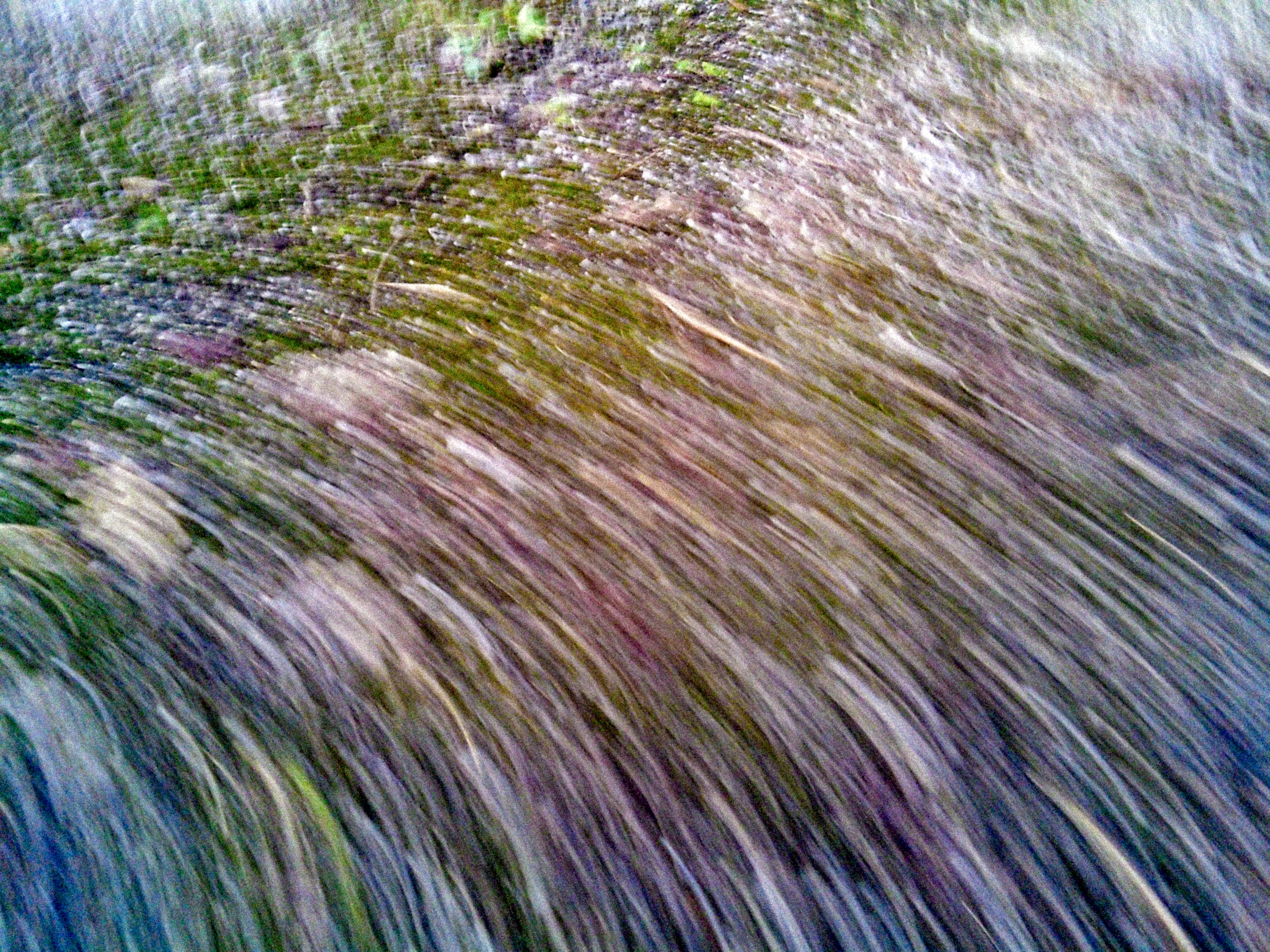 Diagonal motion blur creates sweeping streaks across woodland floor in pink, green and blue tones