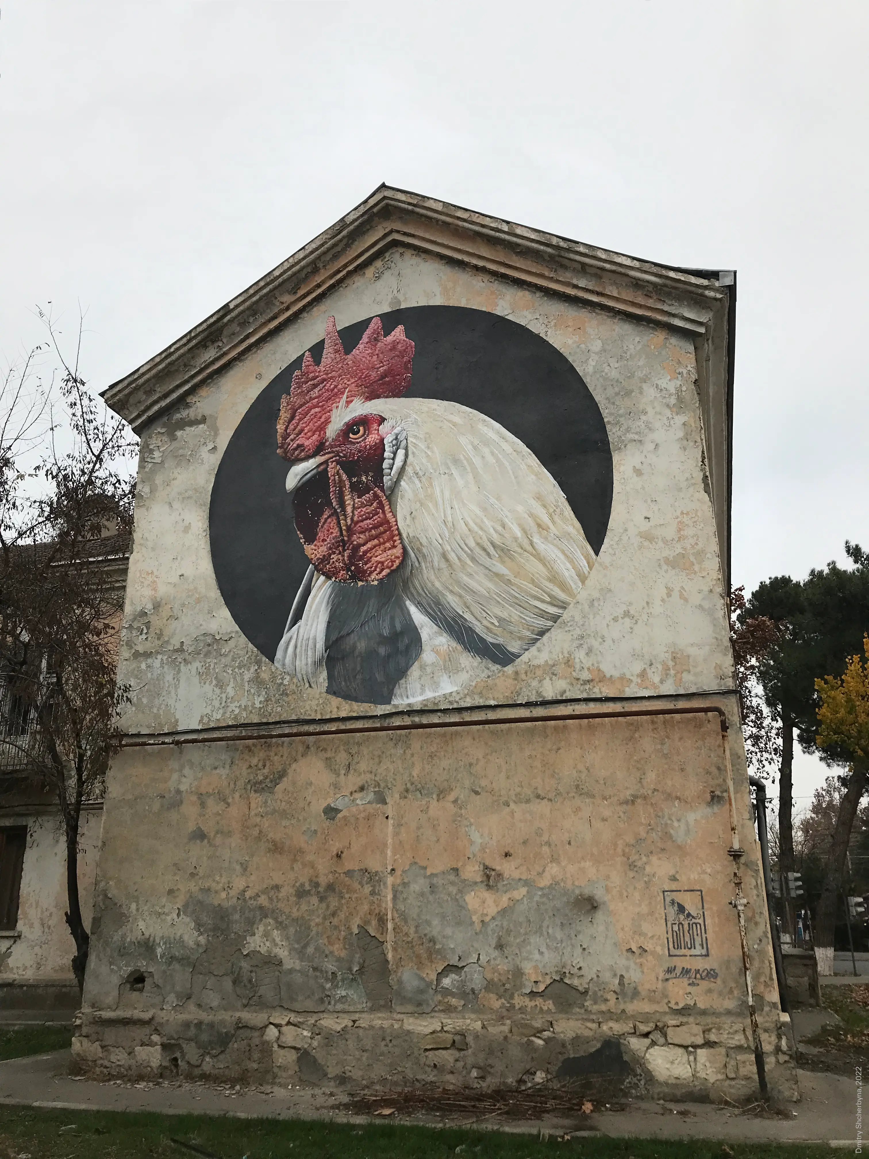A hyper-realistic mural of a white rooster's head and chest, painted inside a large black circle, on the weathered gable wall of an old building. The rooster has a vivid red comb and wattle, and its feathers are rendered in fine detail.