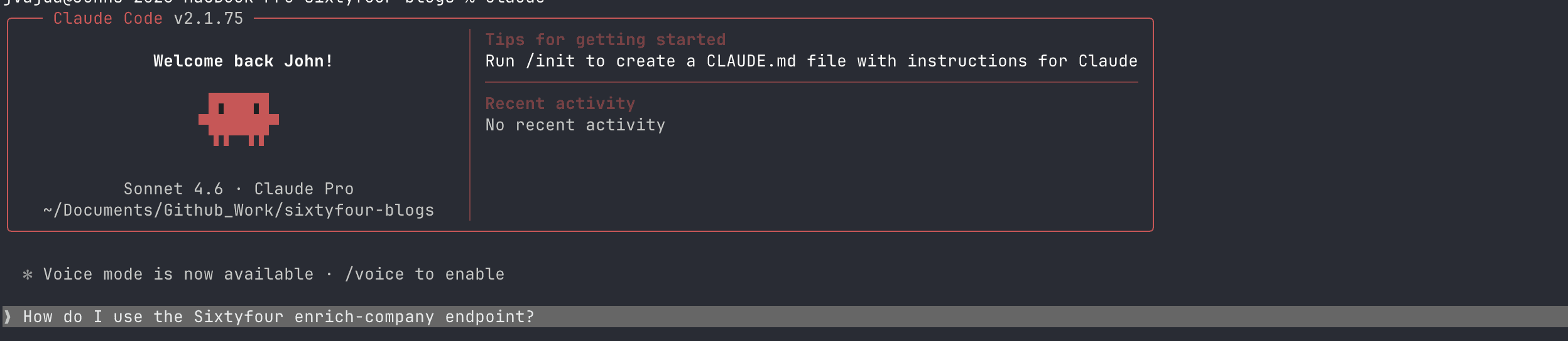 claude-code-ide-1