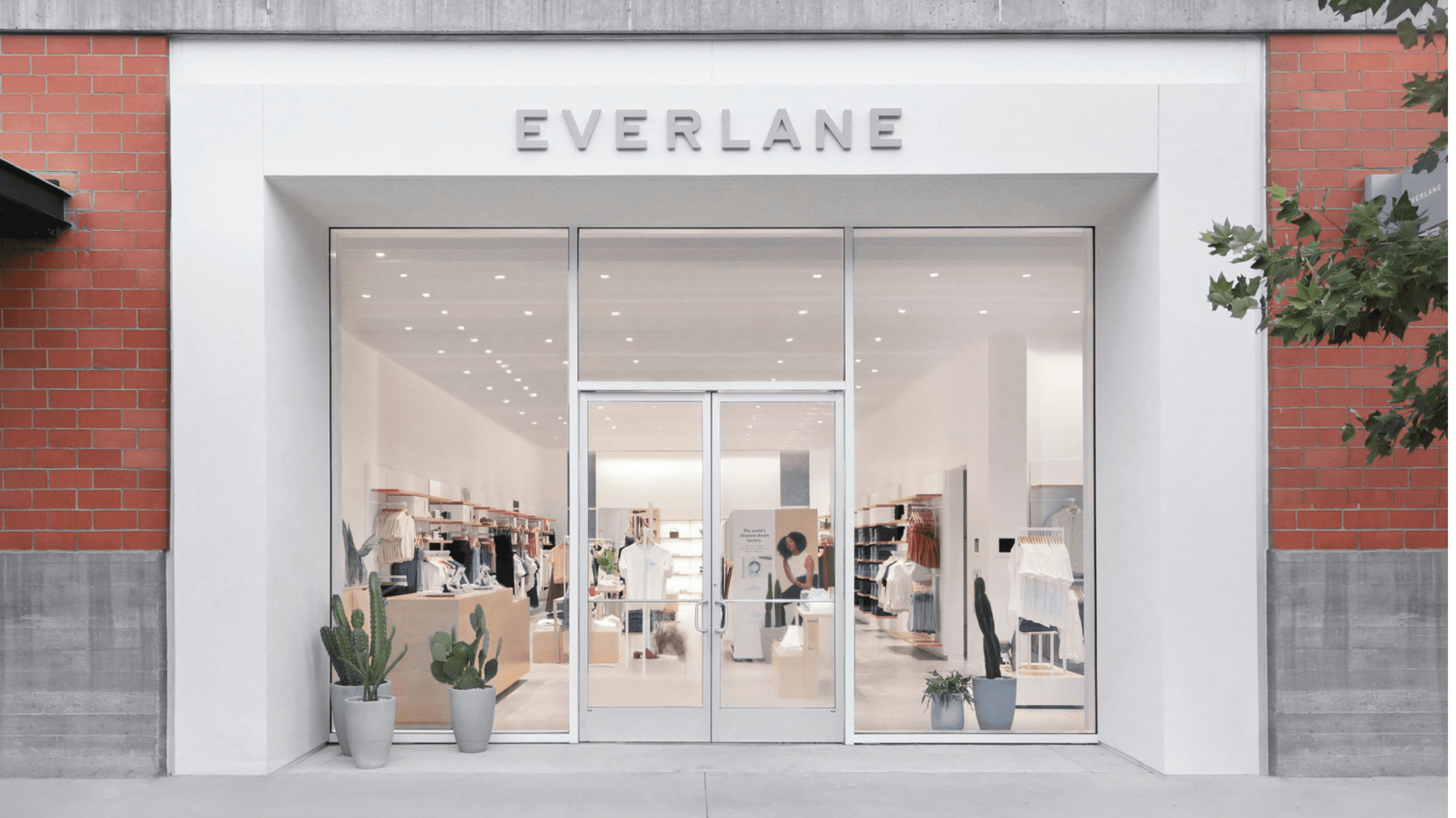 Everlane storefront image