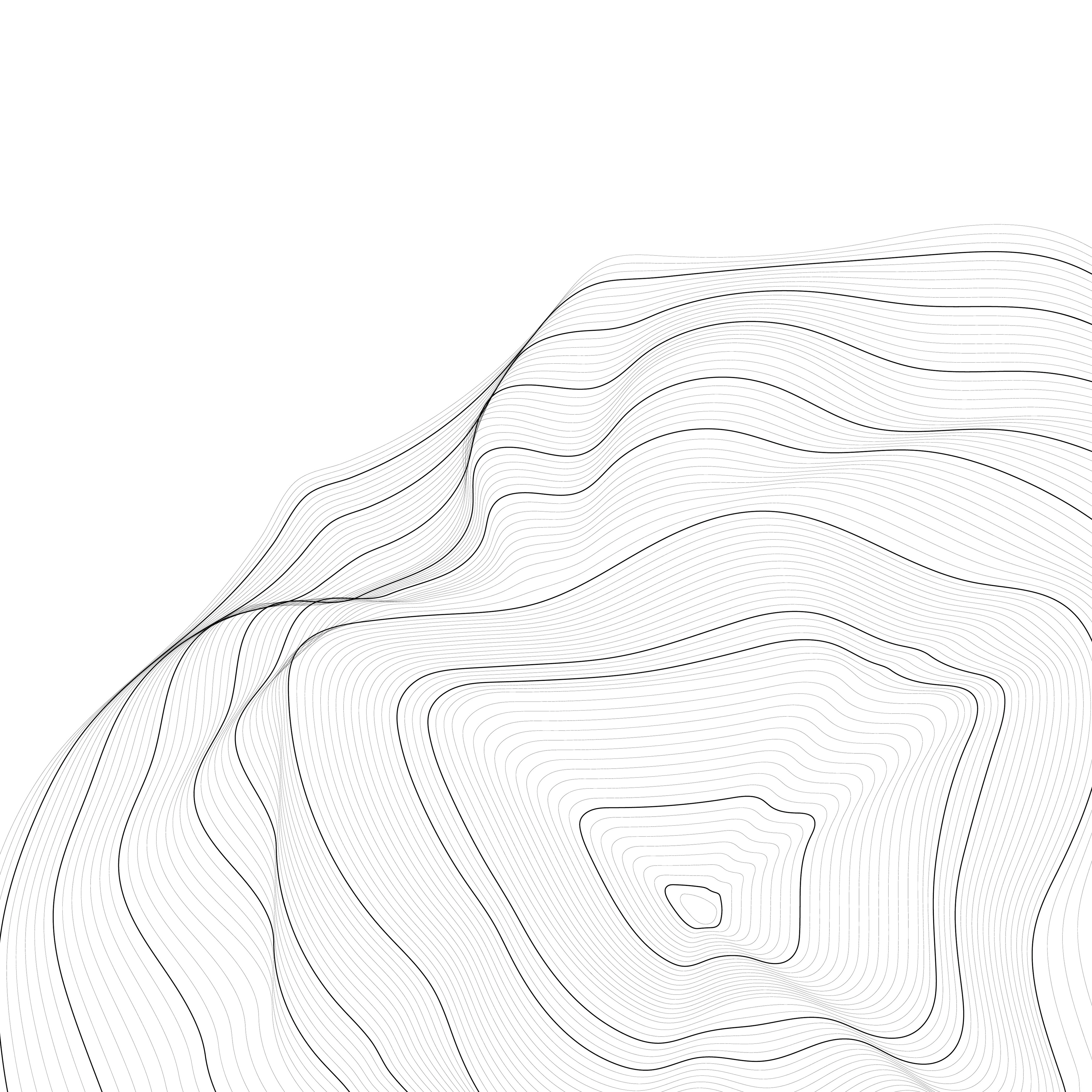 Minimal topographic line illustration representing digital landscape