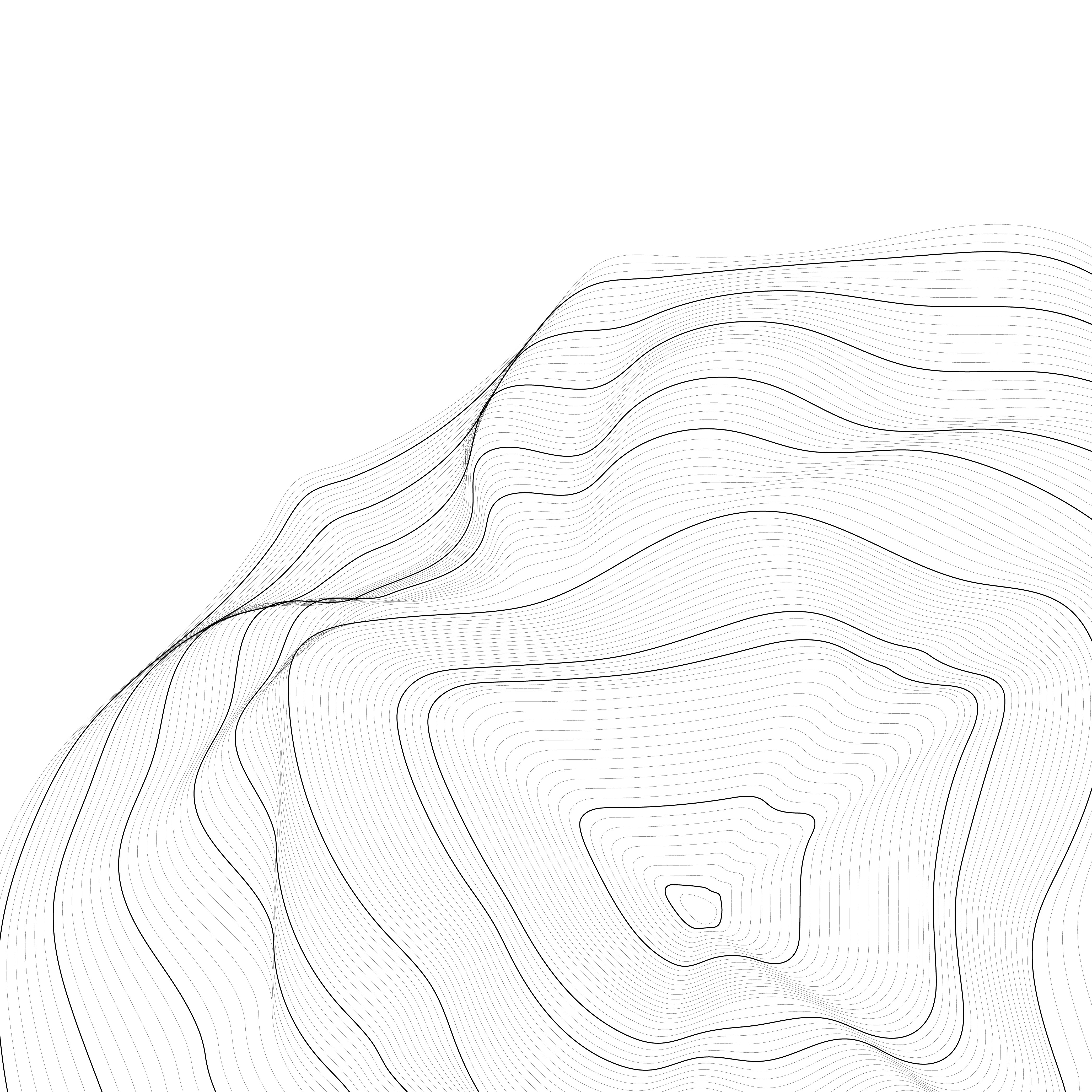 Minimal topographic line illustration representing digital landscape