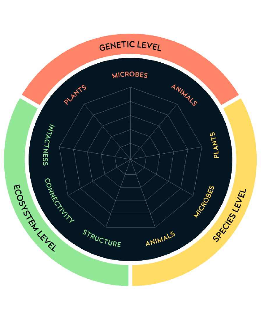 Concetrated triathlete grayscale
