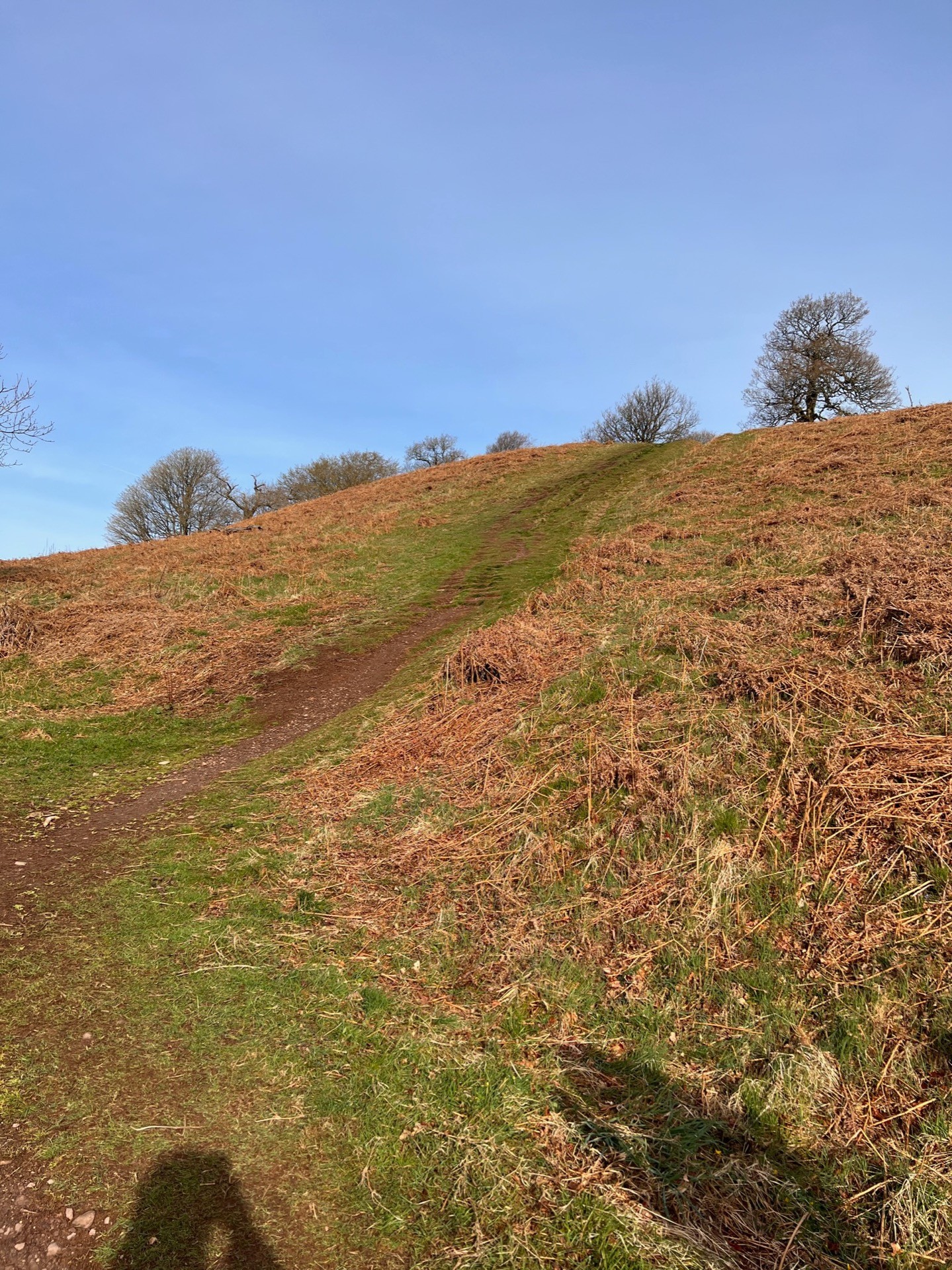 A grassy but slightly muddy slope up the hill.