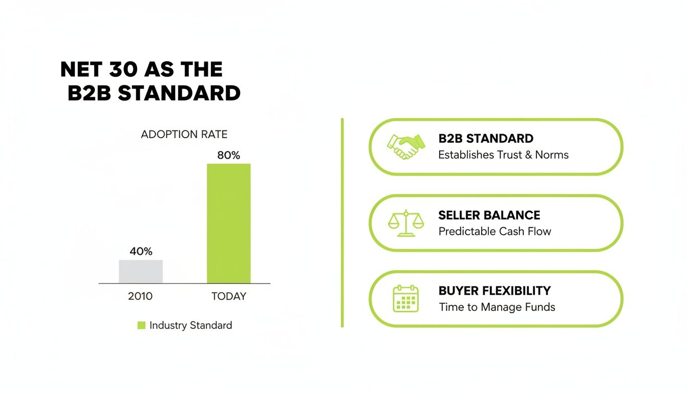 Infographic illustrating Net 30 as the B2B standard, with rising adoption and three key benefits.